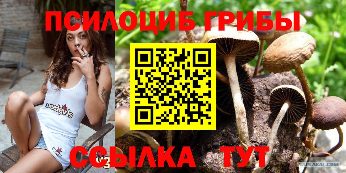Зима  Псилоцибиновые грибы GOLDEN TEACHER  Вход с VPN 