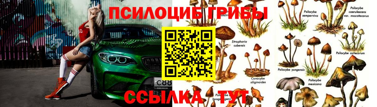 Зима  Лсд 25  COCAIN  Вход с VPN  Гашиш  Меф  